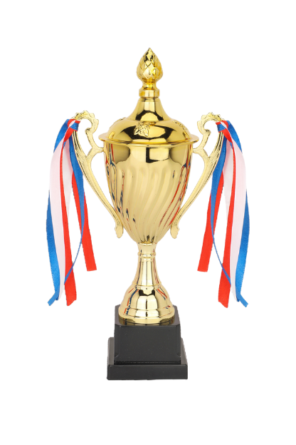 Gold Trophy - Div 1 Champion