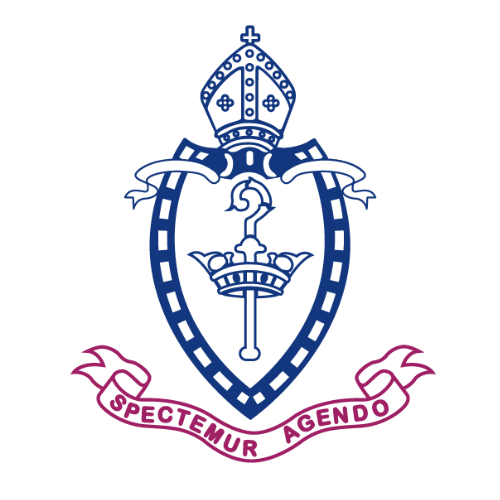 Newcastle Grammar Logo