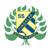 Tingalpa State Logo