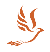 Holy Spirit Catholi College Logo